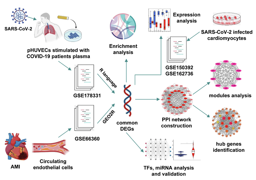 2024-07-05 Paper accepted in American Heart Journal Plus Cardiology ...