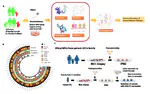 Integration and comparison of multi-omics profiles of NGLY1 deficiency plasma and cellular models to identify clinically relevant molecular phenotypes