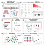 Multiomic analysis reveals cell-type-specific molecular determinants of COVID-19 severity