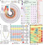 Nonlinear dynamics of multi-omics profiles during human aging